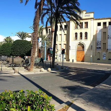 C41 Alicante
